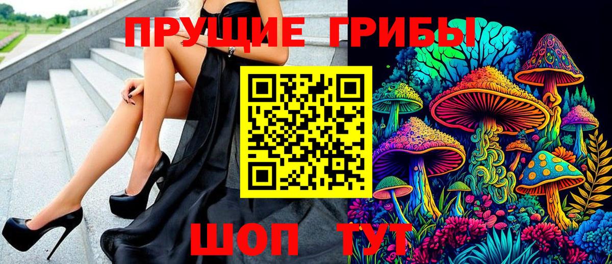 Псилоцибиновые грибы ЛСД  Псилоцибиновые грибы GOLDEN TEACHER  Волгоград  Вход с VPN 